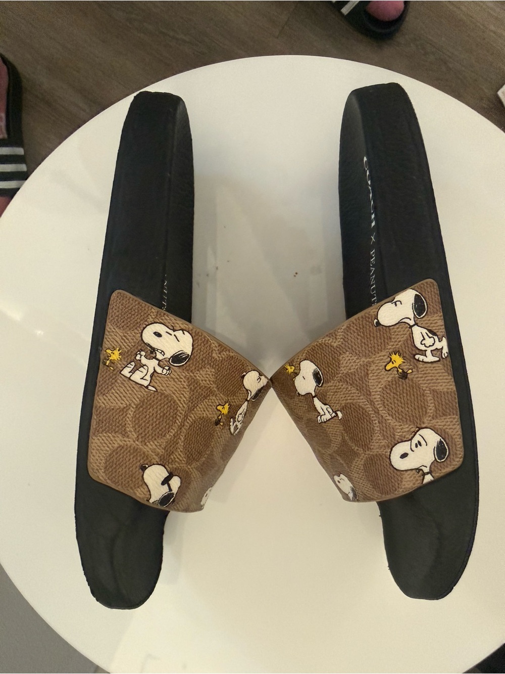Coach Brown Logo Snoopy Print Slide Sandals - Picture 5 of 8